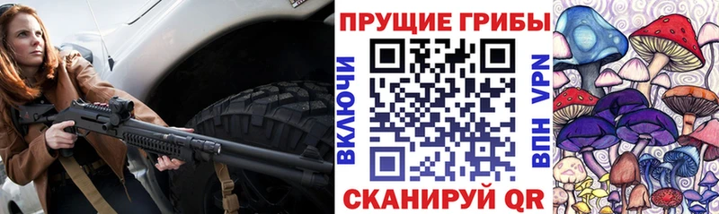 Псилоцибиновые грибы прущие грибы  Бор 